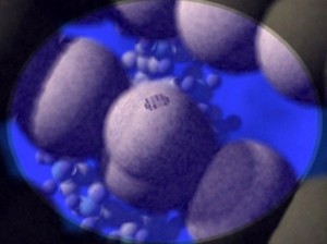 TNL002 - VOY Scientific Method - barcode Barcoded DNA