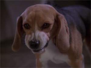 mean porthos